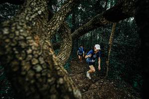 BIB: 
                            <button type="button" onclick="openModal(25696116)" class="btn btn-primary btn-sm float-right btn-popup" data-toggle="modal" data-target=".modal-high-quality">
                        <i class="fas fa-shopping-cart"></i> Add to Cart
                    </button>
                                            <button type="button" onclick="isThisMe(25696116, true)" class="btn btn-success btn-sm float-right btn-popup btn-isme hidden" data-toggle="tooltip" data-placement="bottom" title="นี่คือรูปของคุณใช่ไหม คลิกที่นี่เพื่อเอาเข้าอัลบั้ม">
                        <i class="fas fa-plus"></i> Add to album
                    </button>
                    <button type="button" onclick="isThisMe(25696116, false)" class="btn btn-warning btn-sm float-right btn-popup btn-isnotme hidden">
                        <i class="fas fa-ban"></i> Remove from album
                    </button>